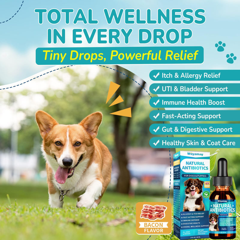 Woyamay Antibiotics for Dogs | Natural Dog Antibiotics for Allergy Relief, Itch Relief, Coughs, Skin Health, Breath Treatment, Digestion | Herbal Supplement to Care for Ears, Eyes & Coat, 2 Fl Oz Bacon 1 Pack