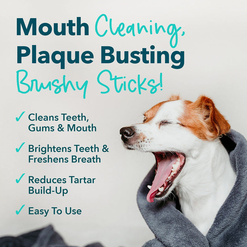 iHeartDogs Brushy Sticks - Dental Treats for Dogs Removes Plaque and Tartar Buildup - Grain-Free Dog Teeth Cleaning Chews Made with Chicken - 30 Mini Sticks 7.9 Ounce (Pack of 1) - PawsPlanet Australia