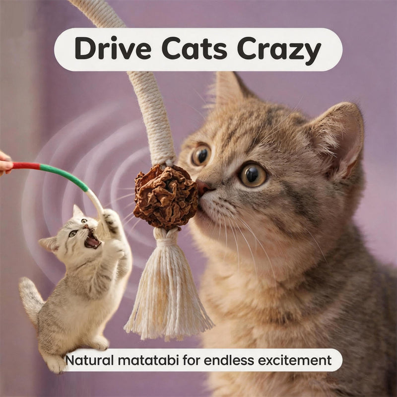 Cat Teeth Cleaning Chew Toys,Cat Chew Ropes 4Pcs,Natural Cat Chew Sticks 4Pcs