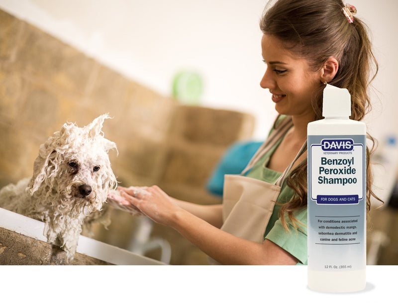 Davis Benzoyl Peroxide Medicated Dog & Cat Shampoo, 12 oz. – Dermatitis and Demodectic Mange - PawsPlanet Australia
