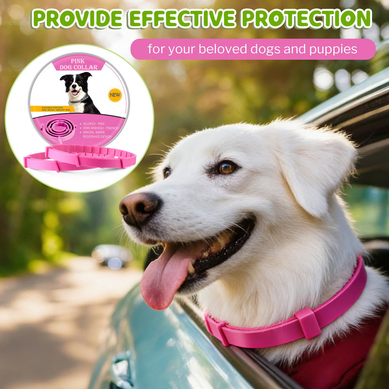 Flea and Tick Collar for Dogs, Dog Collars with Natural Essential Oils, Waterproof, Adjustable Size for Small Medium and Large Dog, Flea Prevention and Tick Control for Puppies(2 Pack,Pink) 1 Pink