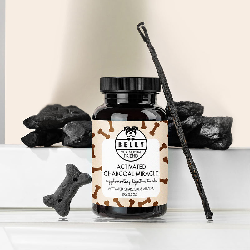 Belly Natural Charcoal Tablets Dog - 100g - Activated Charcoal Tablets against diarrhea & to build up intestinal bacteria, build up dog intestinal flora, with antioxidants, vitamins and minerals, vegan - PawsPlanet Australia