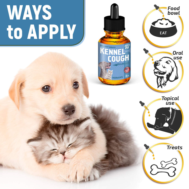 Dog Cough - Kennel Cough - Dog Allergy Relief - Supplements For Dogs & Cats Health - Allergy Relief Immune Supplement for Dogs - for Dry, Wet & Barkly Pet Cough - Suitable For All Sizes - PawsPlanet Australia