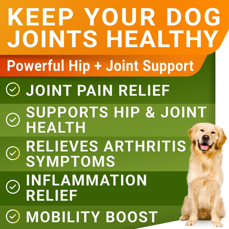 StrellaLab Liquid Glucosamine for Dogs (16 OZ) - All-Natural Hip & Joint Supplement for Dogs, Glucosamine Chondroitin Liquid, MSM & Collagen for Dogs Mobility, Joint Pain Relief for Small & Large Dogs - PawsPlanet Australia