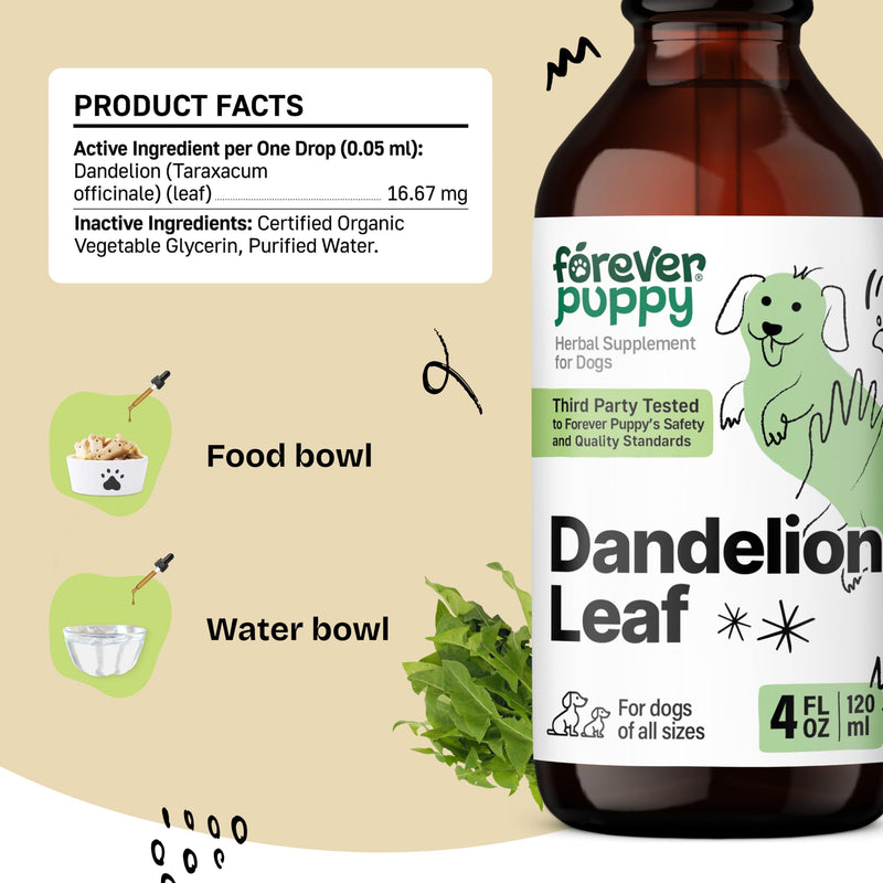 Dandelion Leaf Drops for Dogs - Kidney Health Supplement for Large, Medium & Small Dogs - Kidney Cleanse Detox Drops w/Dandelion Leaves - Dog Food Supplements for Natural Pet Kidney Support - 4 oz