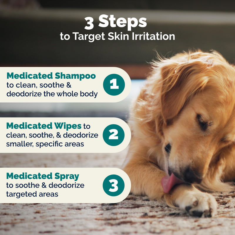 Vetnique Dermabliss Chlorhexidine for Dogs & Cats Wipes - Ketoconazole Medicated Antibacterial & Antifungal Skin Wipes for Hot Spots, Yeast Infection, Yeasty Paws, Itch & Smelly Folds, 50 Count Small 50 Count (Pack of 1) Medicated Skin Wipes