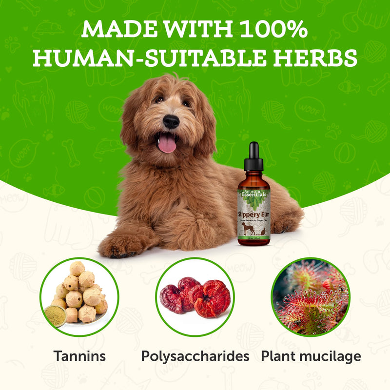 Animal Essentials Slippery Elm - Herbal Extract for Dogs and Cats, Promotes Healthy Digestion, Bowel Function, Certified Organic Herbs, All Natural, Respiratory Health, Liquid Formula - 1 Fl Oz 1 fl oz (30ml)