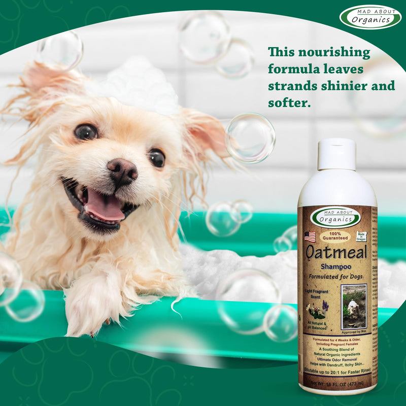 Oatmeal Dog Shampoo for Itchy Skin - Gentle, pH-Balanced with Calming Vanilla & Lavender - Ideal for Dry, Flaky & Sensitive Coats - Mild Formula for Comfort - 16 oz Made in USA 16 Ounces - PawsPlanet Australia