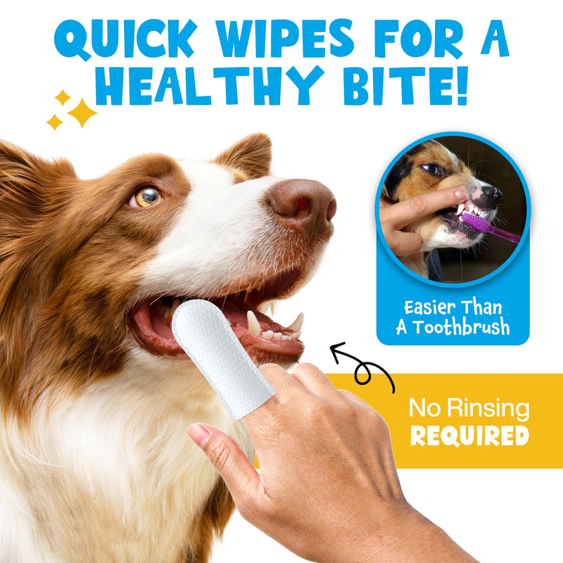 Mint Dental Care Wipes 60 Counts - Dogs Tooth Cleaning Wipes to Reduce Plaque & Tartar Buildup - Dogs and Cats Wipes for Cleaner Mouth - Dog Tooth Brushing Kit - PawsPlanet Australia