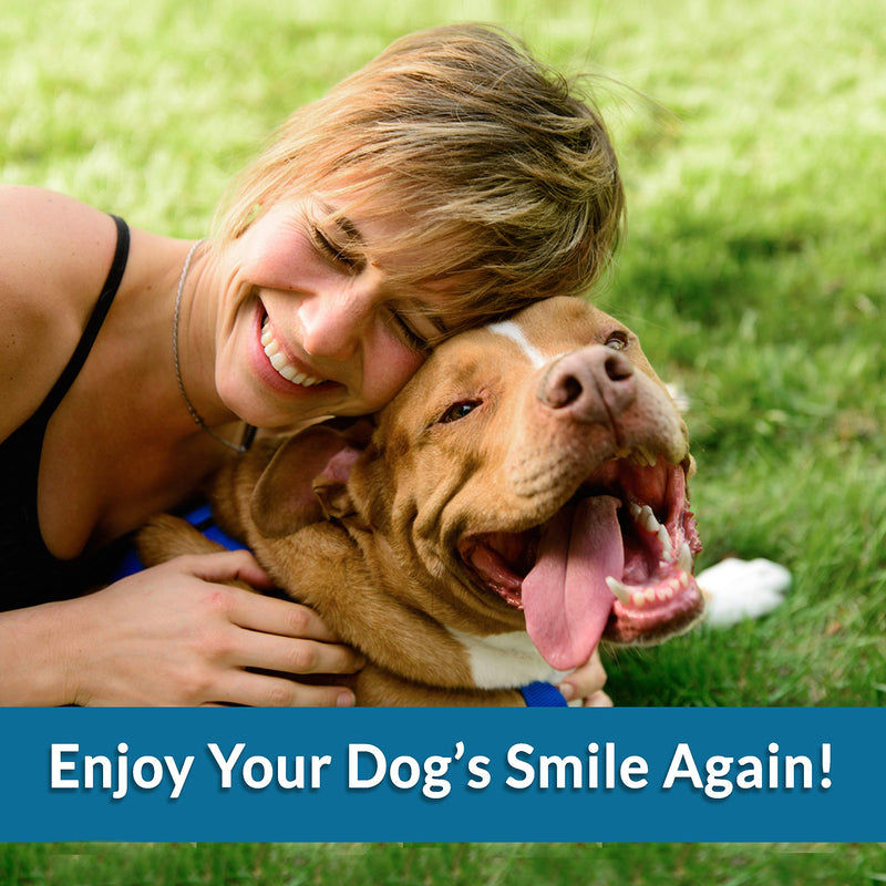 BestLife4Pets Oral Health for Dogs Dental Remedy - Highly Effective Natural Treatment for Inflammatory & Ulcerative Ailments, Stomatitis and Gingivitis. No Smell, No Side Effects - PawsPlanet Australia