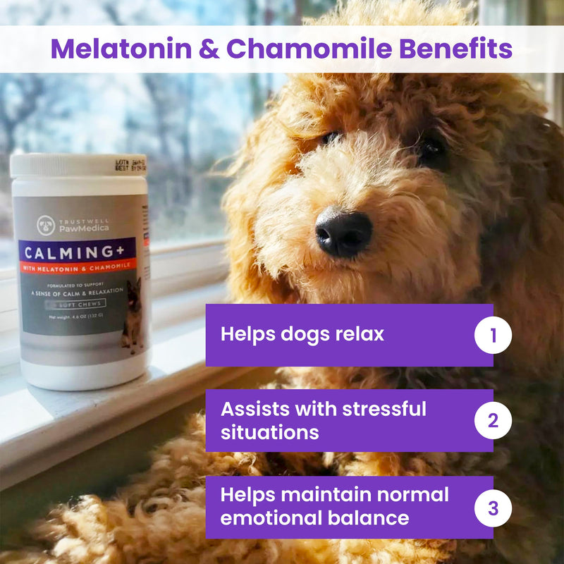 PawMedica Calming Chews for Dogs - Dog Sleep Supplement Melatonin for Dog Anxiety - Recommended Dog Calming Treats for Separation Anxiety and Barking Stress - Dog Melatonin Calming Bites for Fireworks 60 chews