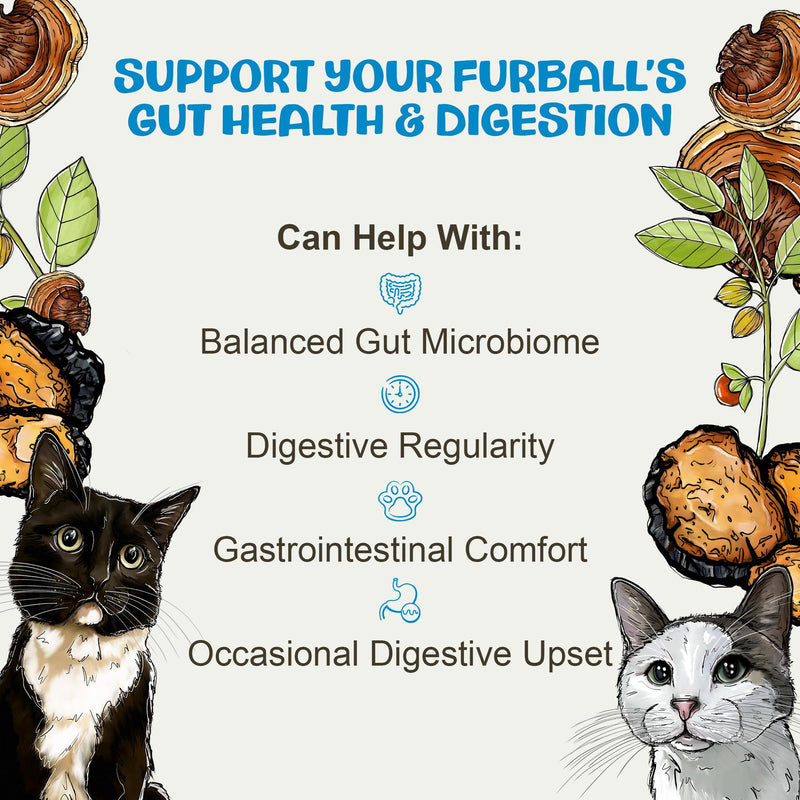 MycoCat Digest - Mushroom Extract & Adaptogen Tincture Cat Supplement - Cat Digestive Support Blend - Roots, Herbs, & Mushroom Extracts Including Chaga, Shiitake, & Turkey Tail