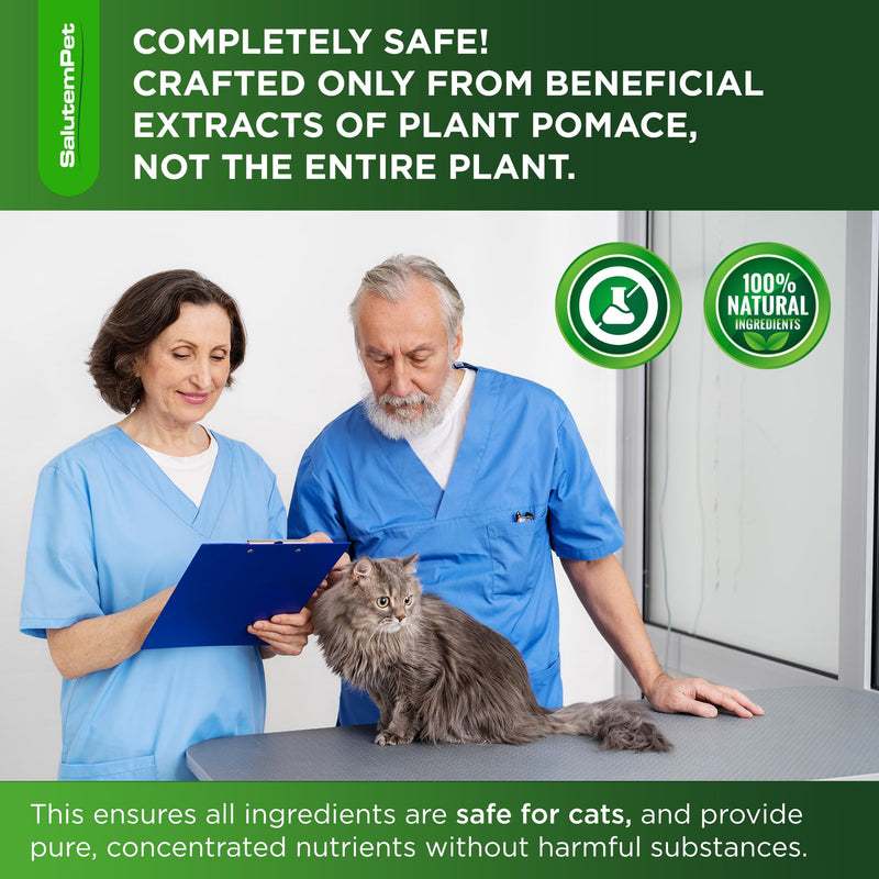 Cat Antibiotic in Drops – Natural Antibiotics for Cats with Chicken Flavor Help with UTI, Cough, Allergies – Safe for Pets and Breeds – 2-oz Bottle with a Pendant Included Herbal Antibiotic for Cats 2 Fl Oz