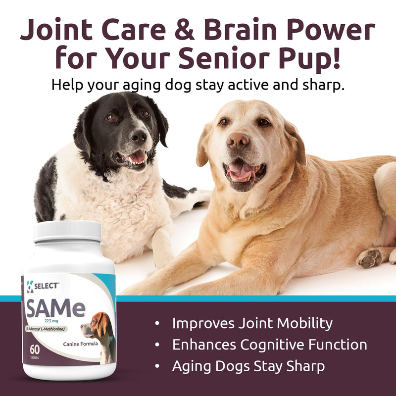 K9 Select SAM-e for Dogs: 225mg, 60 Tablets Active S-Adenosyl-L-Methionine Liver Supplement - Cognitive and Joint Health Nutrition for Medium and Large Dogs - Same Dog Liver Nutritional Supplement - PawsPlanet Australia