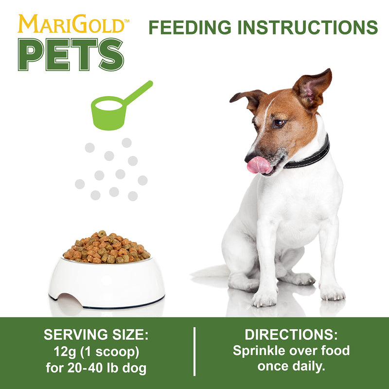 MariGold JIG for Dogs - Joint, Immunity, Gut Support & Collagen for Dogs - Non-GMO, Organic Peanuts, Organic Hemp, Grain and Soy Free - 1.19 LBS (Medium) Medium - PawsPlanet Australia