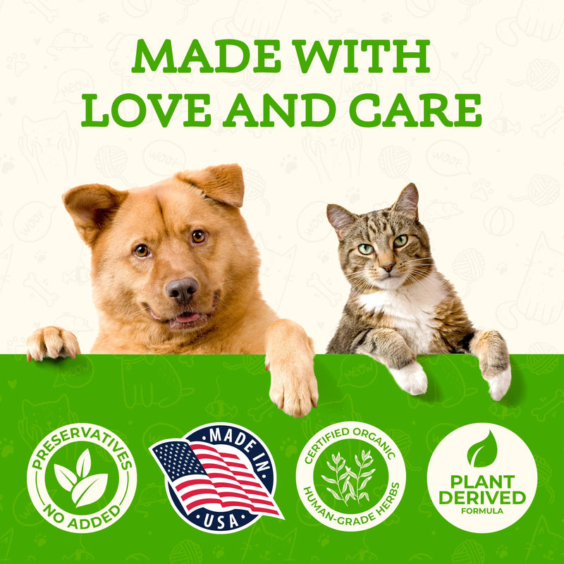 Animal Essentials Milk Thistle for Dogs & Cats - Liver Health Support, Herbal Extract, Liver Care Supplement, Organic Liquid Drops - 1 FL Oz 1 fl oz (30ml) - PawsPlanet Australia