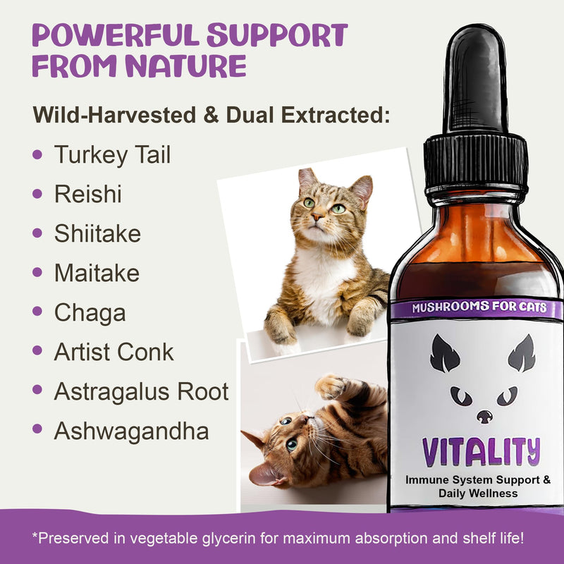 MycoCat Vitality - 20-in-1 Mushroom Extract & Adaptogen Tincture - Liver Support for Cats with Shiitake Mushrooms, Turkey Tail, Chaga, Maitake & Reishi for Felines with Debilitating Conditions