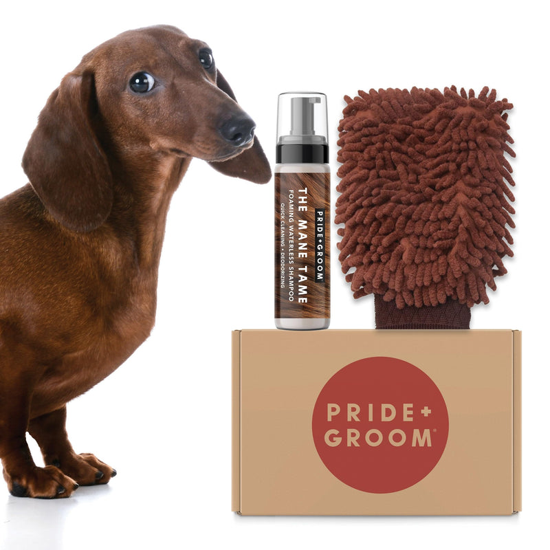 Pride and Groom THE MITT KIT: A Waterless Bath for Your Dog - Foaming Dry Shampoo and a Pet Sensitive Glove for a Rinse Free Cleanse and to Eliminate Odor - PawsPlanet Australia