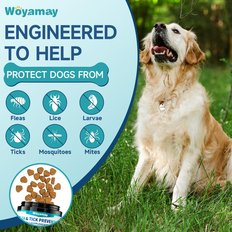 Woyamay Multi-Pet Flea Care Bundle – Dog Flea Prevention Soft Chews + Cat Flea & Itch Relief Crunchy Chews, Natural Skin, Coat & Immune Support for Dogs & Cats, Daily Oral Flea Treatment