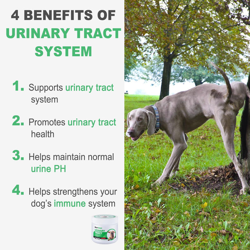 MARIMER Urinary Tract Support for Dogs – Cranberry, D-Mannose, Marshmallow Root & Vitamin C – Soft Chews for Bladder & Kidney Health – Chicken Flavor – 100 Count – for Dogs