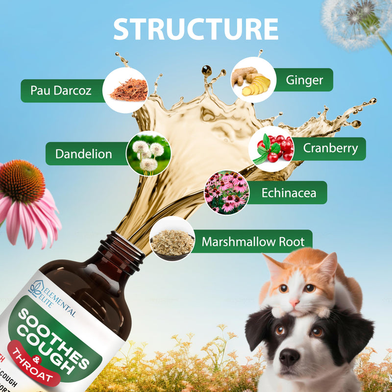 Kennel Cough Drops for Dogs & Cats Cough Relief Dry and Wet Pet Cough Allergy Relief - for Dogs of All Breeds & Sizes - PawsPlanet Australia