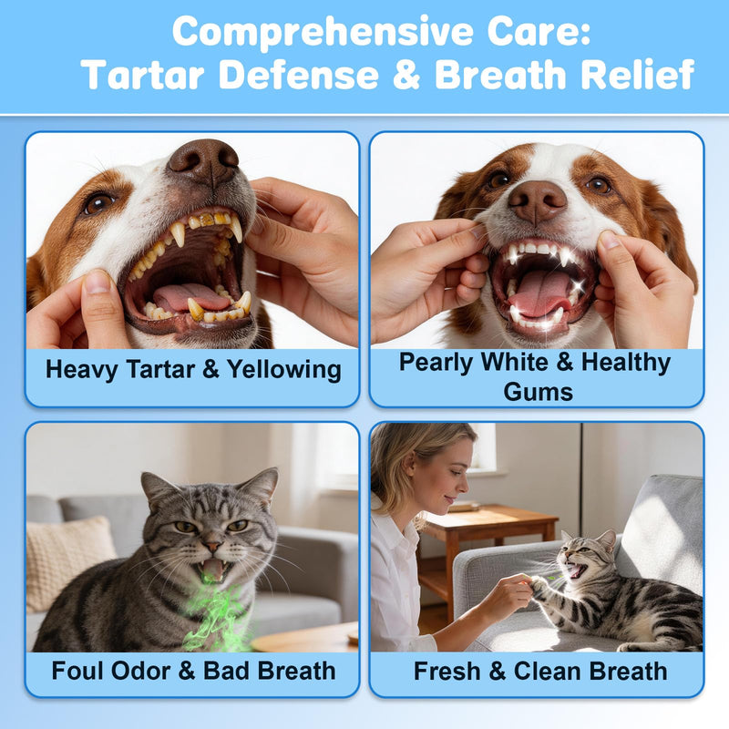 Probiotic Pet Dental Water Additive for Dogs & Cats, 8.5 oz Dog Cat Oral Care Solution, Dental Care Supplement, Fights Plaque Tartar Bad Breath, No Brushing Water Additive