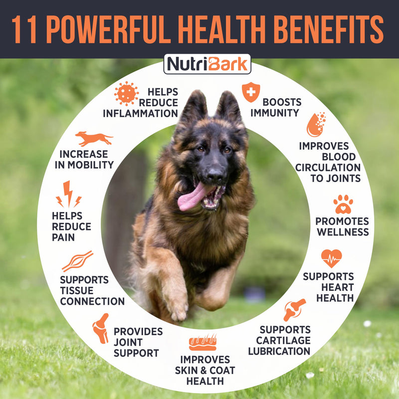 Senior Dog Joint Supplement -1000mg Glucosamine for Dogs -Advanced Hip & Joint Support Chews w/Glucosamine, Chondroitin, MSM, Turmeric & Omega 3 for Pain & Inflammation Relief, Improved Mobility - PawsPlanet Australia