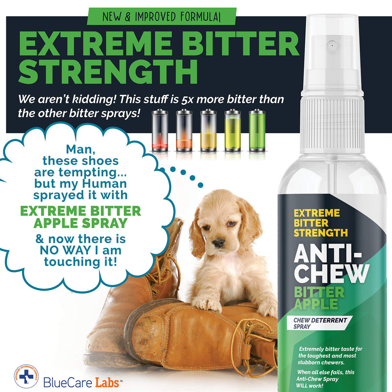 Bitter Apple Spray for Dogs to Stop Chewing Furniture Paws & Household Items 5X Strength NO CHEW Spray - Natural, Alcohol Free & Non Toxic | Effective Anti Chew Deterrent Spray | Made in USA Green - PawsPlanet Australia