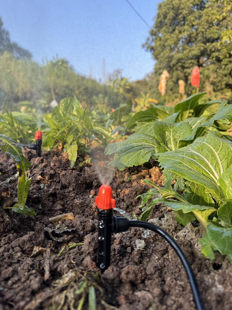 Drip Irrigation Emitters for 1/4" Tubing: Adjustable 360 Degree Drip Spray Emitters with Lock Barbed - Misting Drippers with Stake for Garden Watering System(30pcs) 30pcs Drip Emitters with Lock Barbed