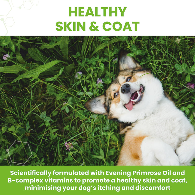 Dog Dry Skin with Evening Primrose - PawsPlanet Australia