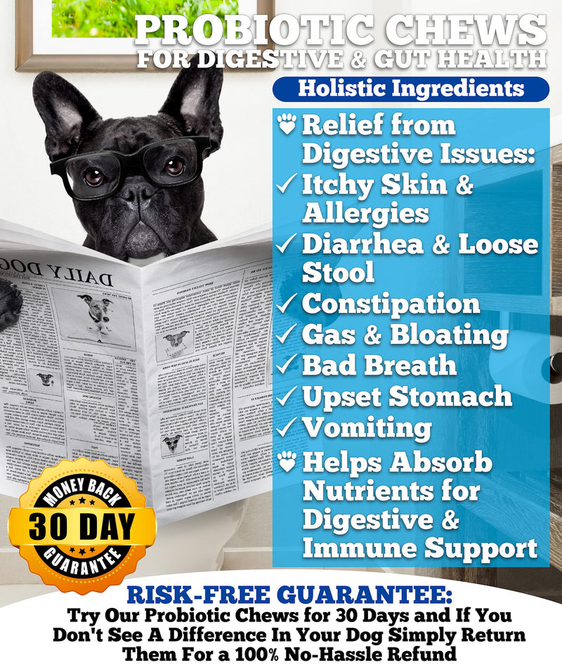 Probiotics for Dogs and Joint Supplement for Dogs, Well Loved Dog Chews, Made in USA, Vet Developed, Dog Probiotic Chews, Glucosamine for Dogs - PawsPlanet Australia