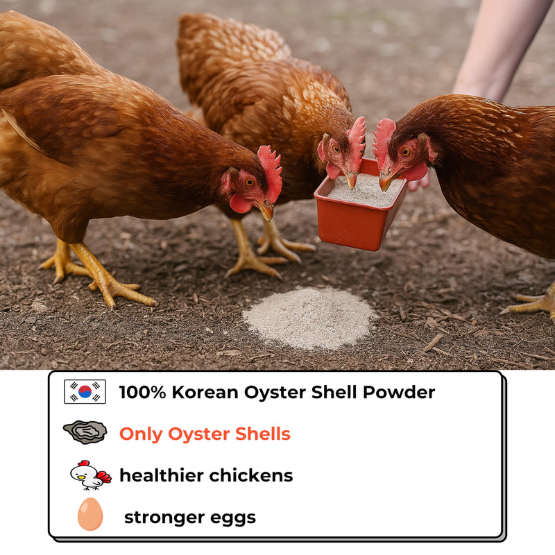 | Oyster Shell Flour 1lb – Finely Ground Calcium Material for Chickens, Ducks, Birds, Reptiles, Amphibians, and More – Crushed Oyster Shell Alternative | 굴껍질가루 (1lb) 1 Pound (Pack of 1)