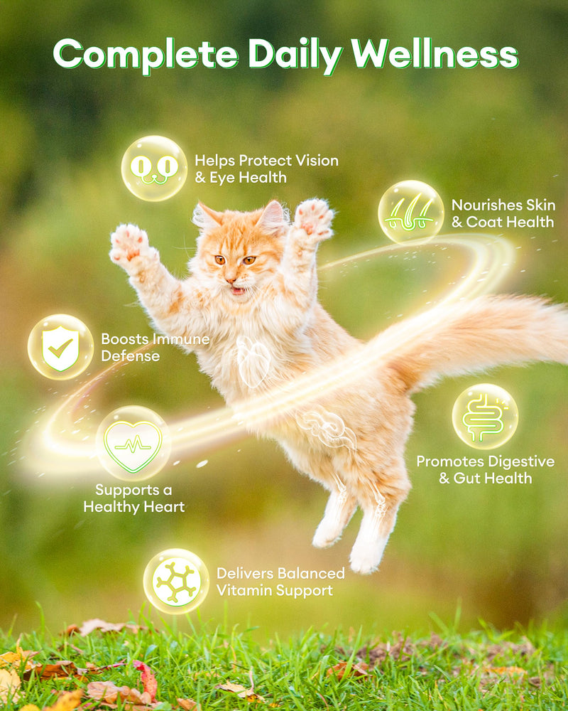 Cat Multivitamin Treats with Taurine – 500 Crunchy & Creamy Cat Vitamin Chews for Immune, Joint, Digestion, Skin & Coat Support – Daily Healthy Supplement for Cats of All Ages Cat Multivitamin (500 Chews)