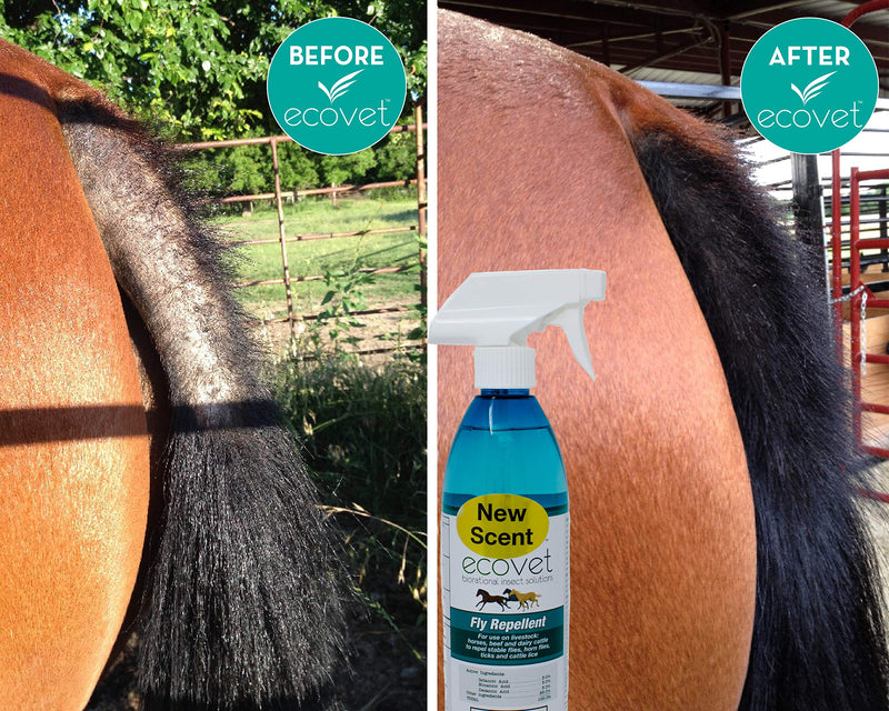 ECOVET Horse Fly Spray Repellent/Insecticide (Made with Food Grade Fatty acids), 18 oz - PawsPlanet Australia