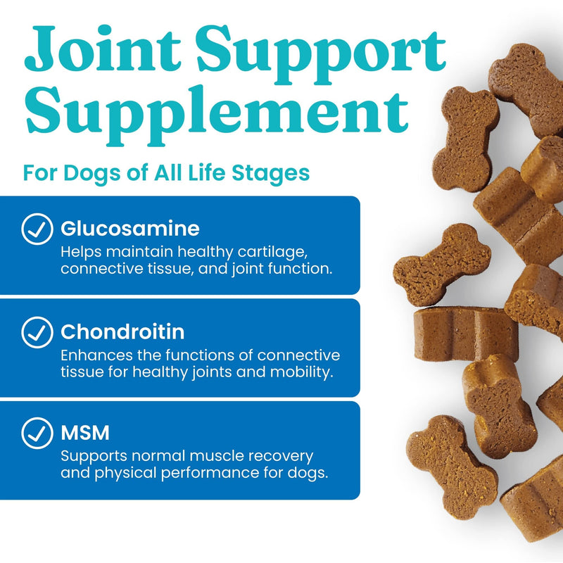 Solid Gold Glucosamine for Dogs Hip and Joint Supplement - Glucosamine Chondroitin MSM for Dog Pain Relief - Leaps & Hounds Chews for Dog Arthritis Pain Relief & Overall Mobility - 120 Soft Chews Complete Joint Health - 120 Chews - PawsPlanet Australia