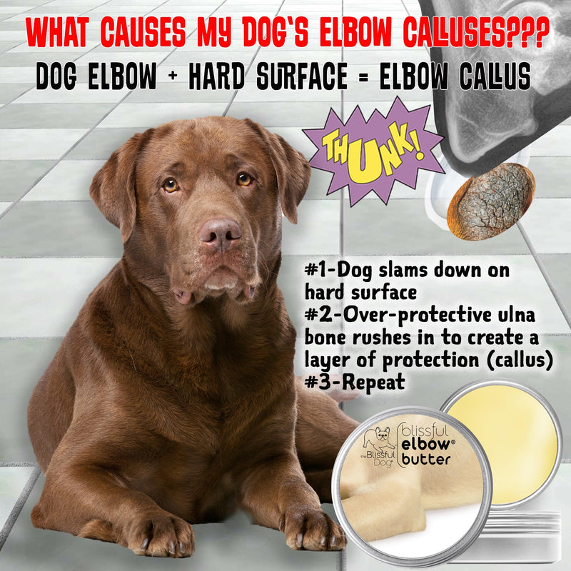 The Blissful Dog Elbow Butter, Moisturizer for Dry, Cracked Elbow Calluses, Versatile Dog Balm, Lick-Safe Balm, 1 oz. 1 Ounce - PawsPlanet Australia