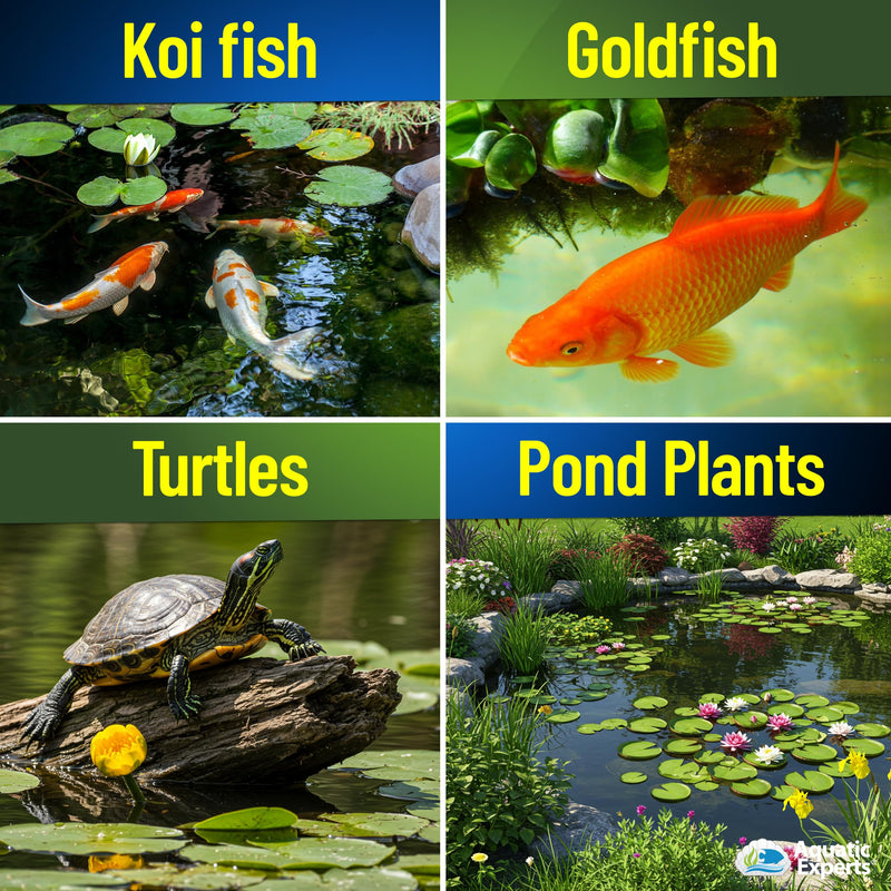 PondFirst Pond Water Conditioner - Concentrated Instant Dechlorinator for Fish Ponds, Makes Water Safe for Koi and Goldfish, Made in The USA, Aquatic Experts (Liquid - 500 ml) Liquid - 500 ml