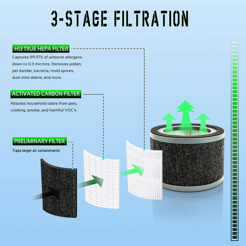FLT4200 Replacement L Filter, Compatible with GermGuardian Air Purifier Models AC4200, AC4200W and AC4250B, Filter Size L, 2-Pack