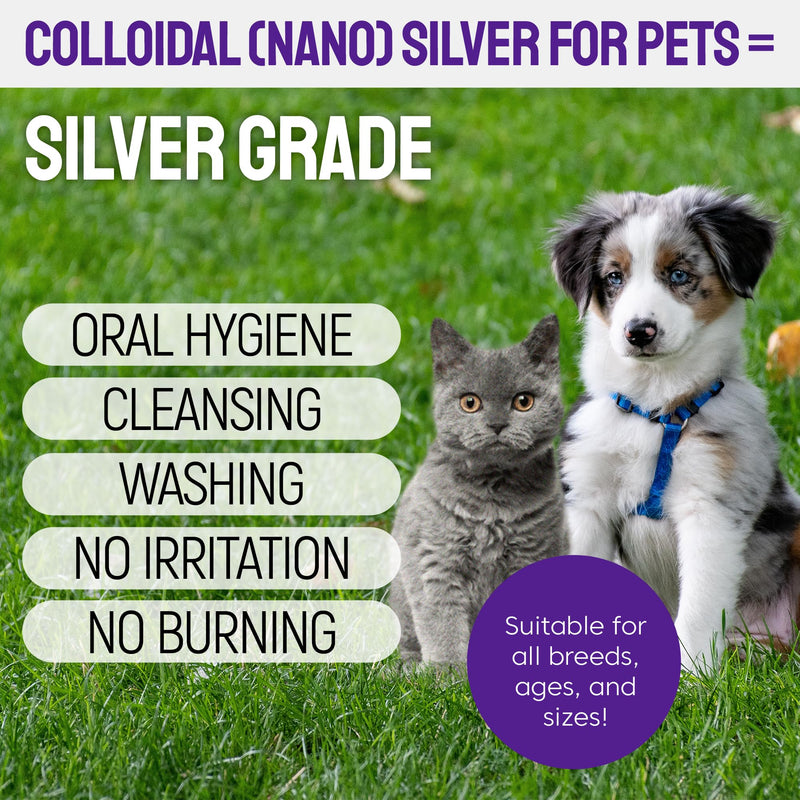 Dog Breath Freshener Teeth & Gum Spray for Pets – Cat Teeth Cleaning Spray Helps with Plaque, Tartar, and Caries – Colloidal (Nano) Silver + Deionized Water – 4 Oz Bottle