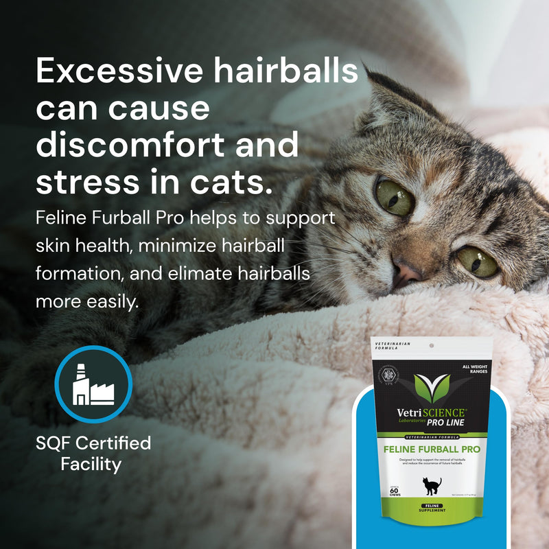 VETRISCIENCE Veterinary Strength Hairball Control for Cats - Cat Hairball & Digestion Support for Cats Skin & Coat Health Formula - Chicken Flavor - 60 Chews (Pack of 2) 60 Count (Pack of 2)