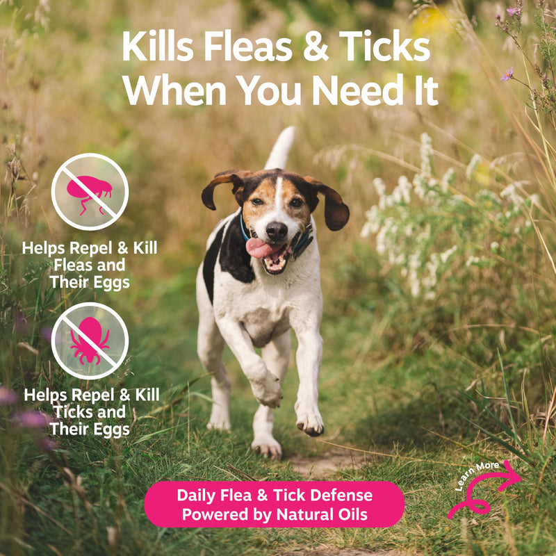 Zesty Paws Flea and Tick Spray for Dogs - Kill Fleas, Ticks & Their Eggs - Veterinarian Formulated - Soothes Itchy & Irritated Dog Skin - Cedarwood Oil, Rosemary Oil & Peppermint Oil Flea & Tick Spray
