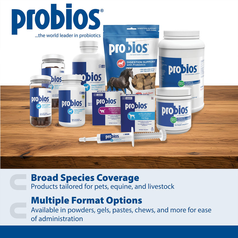 Probios Probiocin Oral Probiotic Gel for Dogs and Cats, Digestive and Immune Support Supplement, Easy Syringe Administration, Suitable for Newborns to Senior Pets, 15g Tube (Pack of 2) 15 g (Pack of 2)