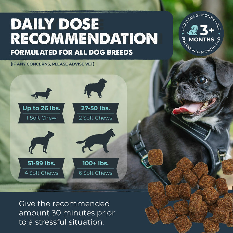 Mighty Paw Calming Chews for Dogs with Melatonin - Vet Formulated Dog Sleep Aid - Puppy & Large Pet Treats - Waggables Calm -Composure Calming Chews for Stress & Relaxation, 120 Count (Made in USA) 1 Pack - 120 Chew Count