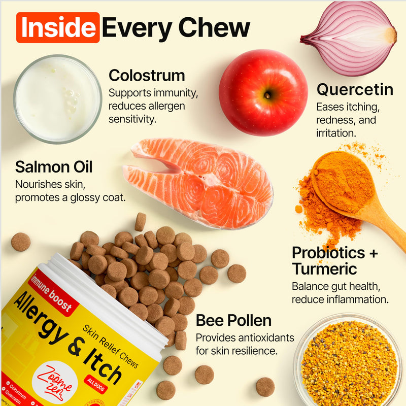 Dog Allergy Chews – Dog Allergy Relief, Itch Relief for Dogs – Anti Itch, Allergies & Immune Chews for Dogs with Omega 3 Fish Oil, Colostrum & Probiotics – 170 Count, Made in USA 170 Chews