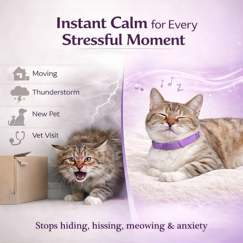 Calming Collar for Cats, Pheromone Infused for Anxiety Relief & Stress, Adjustable & Waterproof, 4 Pack(Blue) Blue