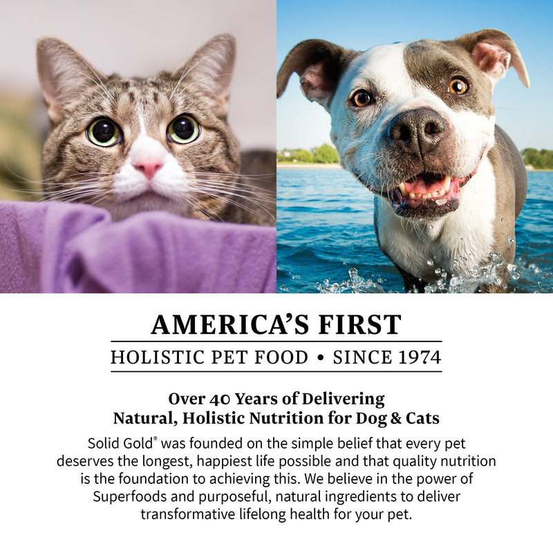 Solid Gold SeaMeal Kelp-Based Supplement for Skin & Coat, Digestive & Immune Health in Dogs & Cats; Natural, Holistic Grain-Free Supplement Powder 1 lb - PawsPlanet Australia