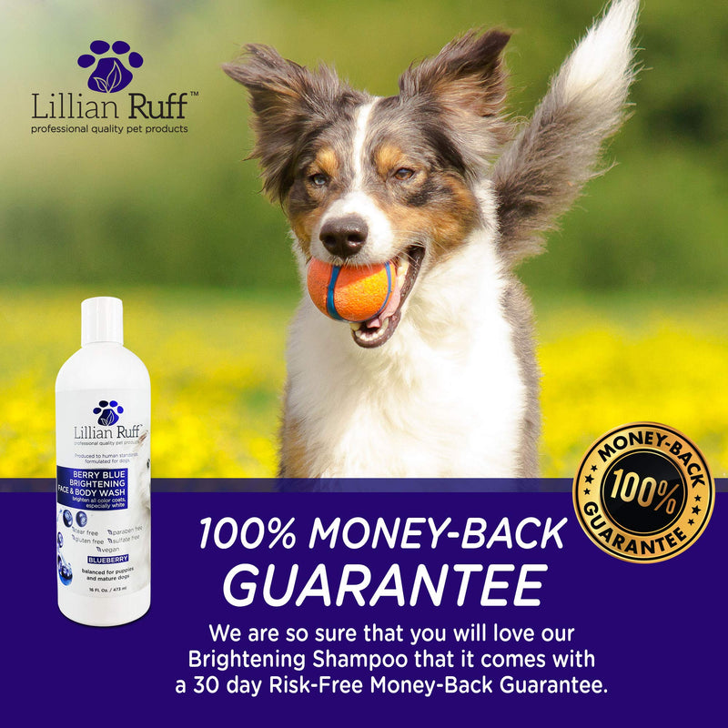 Lillian Ruff Berry Blue Brightening Face and Body Wash for Dogs and Cats - Tear Free Blueberry Shampoo - Remove Tear Stains, Hydrate Dry Itchy Skin, Add Shine & Luster to Coats - Made in USA (16oz) 16 Fl Oz (Pack of 1) - PawsPlanet Australia