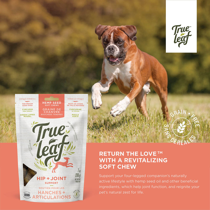 True Leaf Pet Hemp Hip + Joint Chews 200 g - Support Mobility with Natural Ingredients - Green Lipped Mussel, Turmeric Extract
