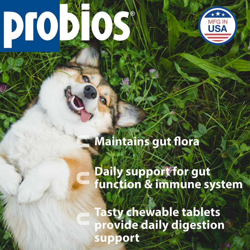 Probios Chewable Tablets for Dogs, Daily Probiotic Supplement for Gut Health, Digestion & Immune Support, Improves Microbiome Balance During Stress, Travel, Chicken Liver, 45 Count (Pack of 2) 45 Count (Pack of 2)