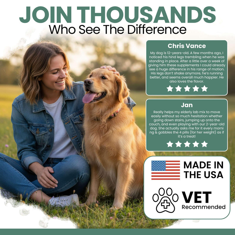 Chew + Heal Labs Glucosamine for Dogs Hip and Joint Supplement - 60 Senior Dogs Mobility Soft Chews - Made with Glucosamine, MSM, Chondroitin, Green Lipped Mussels and More - Made in The USA Chicken 60 Count
